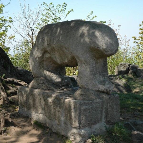 The Ancient Bear On Mount Ślęża